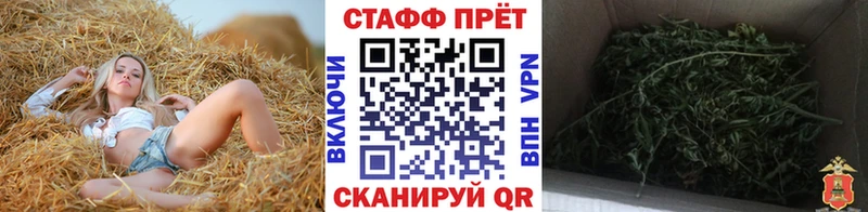 Купить закладку Черепаново NBOMe  Меф мяу мяу  ГАШ  АМФЕТАМИН  Конопля  A PVP  Cocaine 