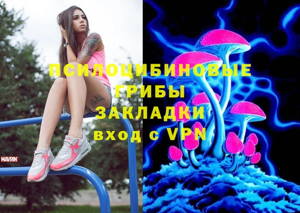 мяу мяу мука Баксан
