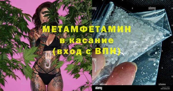 сатива Белокуриха