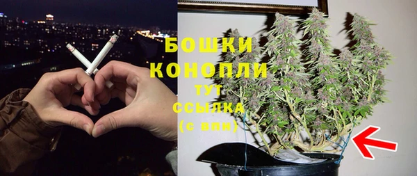 бошки Арсеньев