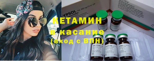 сатива Белокуриха