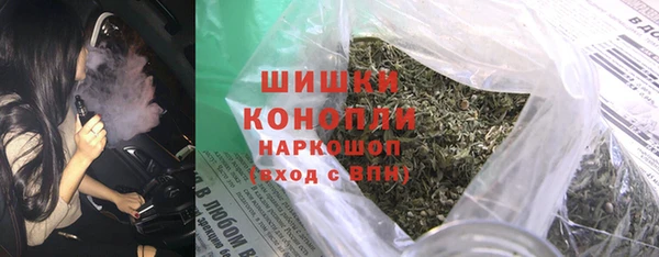 сатива Белокуриха