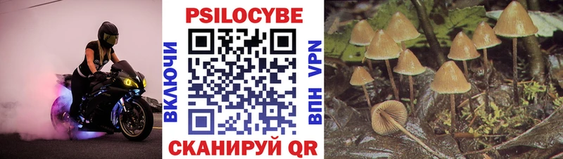 Галлюциногенные грибы мухоморы  что такое   Черепаново 